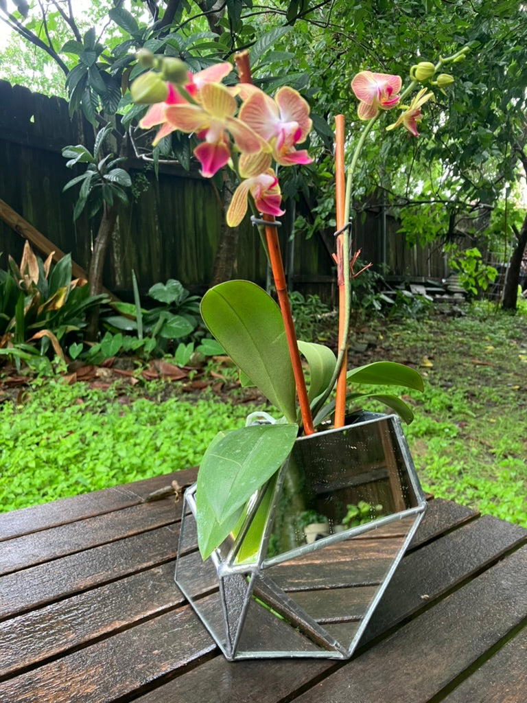 Sculptural Mirror Vase 2