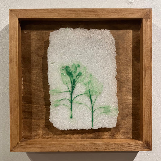 Sage Small Glass Print Wood Frame
