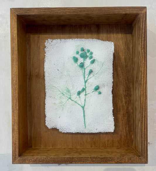 Blackberry Glass Print