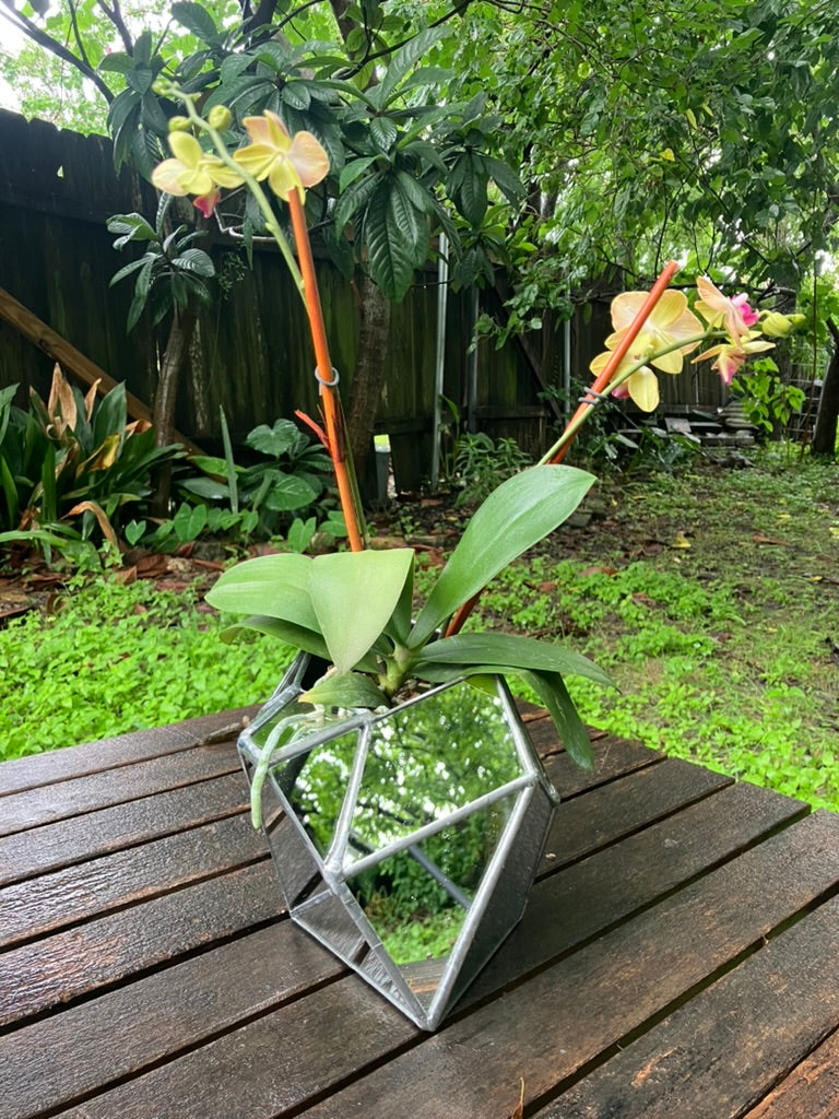 Sculptural Mirror Vase 2