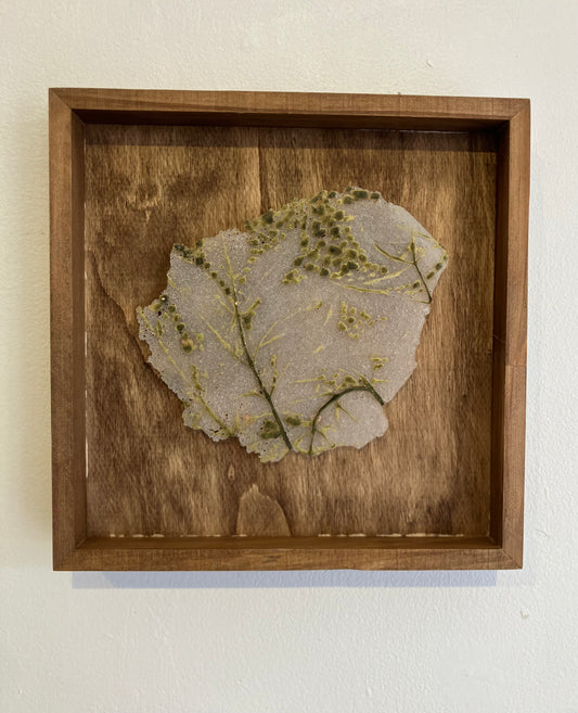 Elderflower Small Glass Print