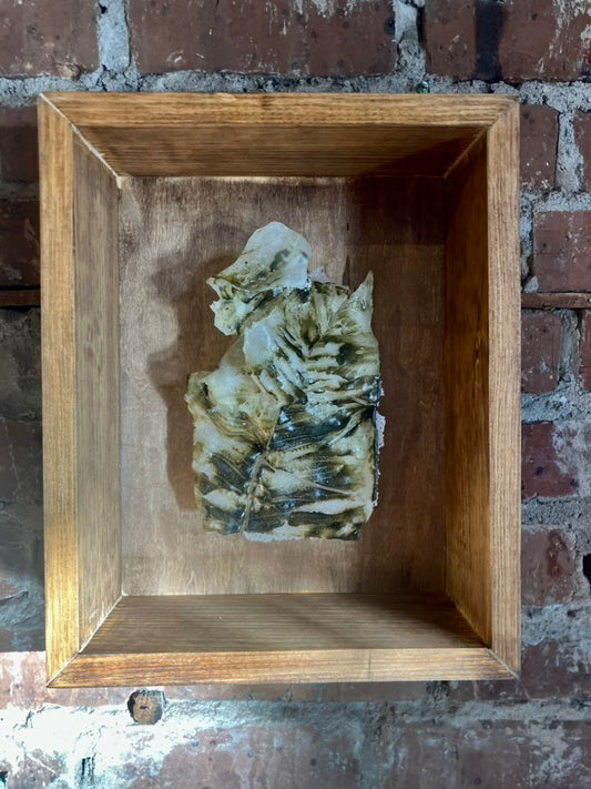 Double Fern Glass Print