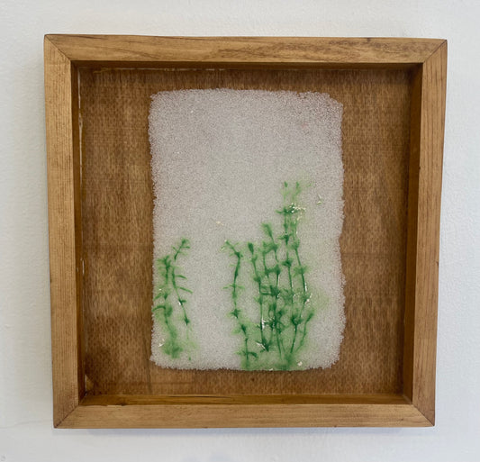 Thyme Small Glass Print Wood Frame