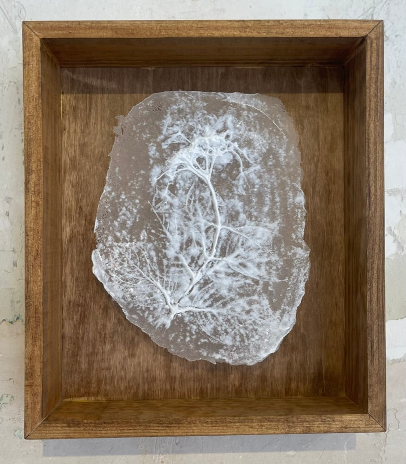 Hydrangea Glass Print