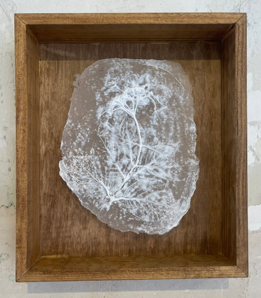 Hydrangea Glass Print