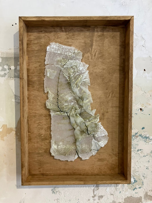 Interrupted Fern Glass Print