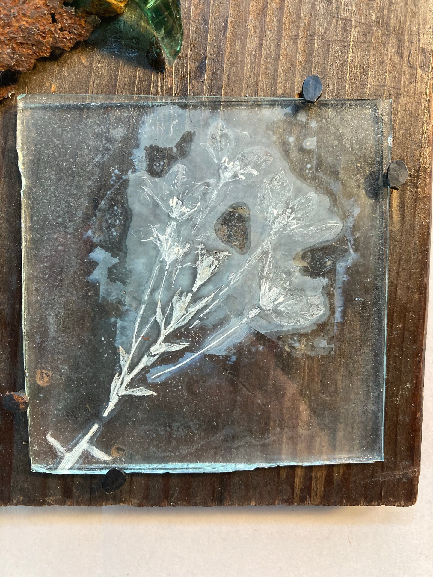 Star of Bethlehem & Rust, Pandemic Collage Collection