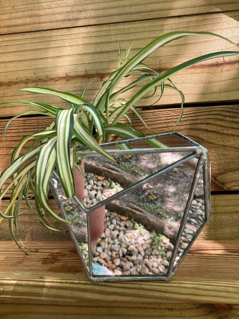Mirror Vases