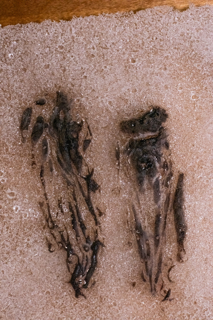 Abortifacient Glass Prints