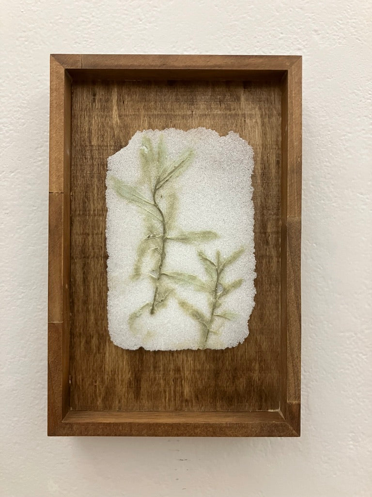 Tarragon