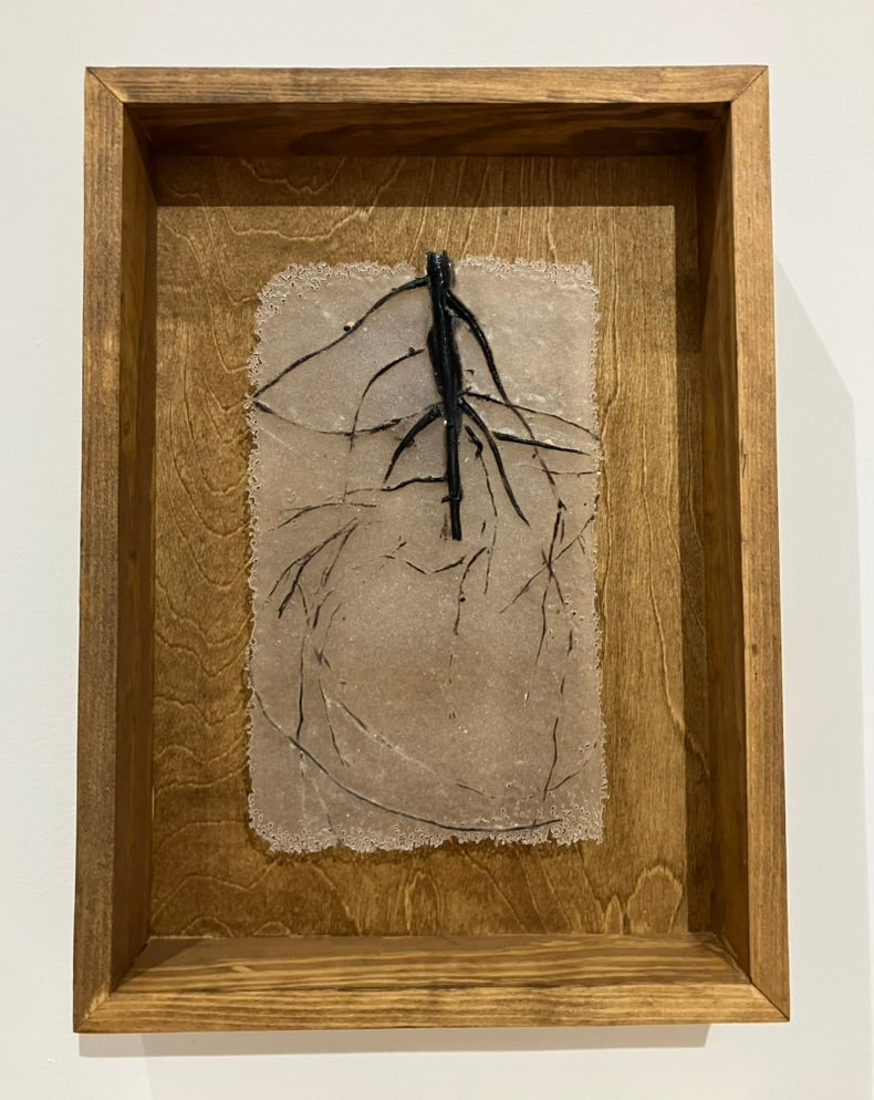 Abortifacient Glass Prints