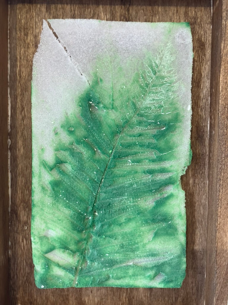 Small Green Fern Glass Print