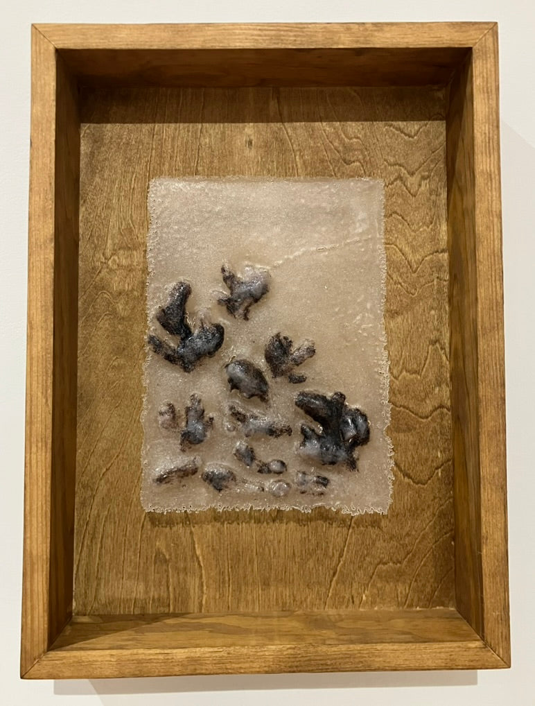 Abortifacient Glass Prints