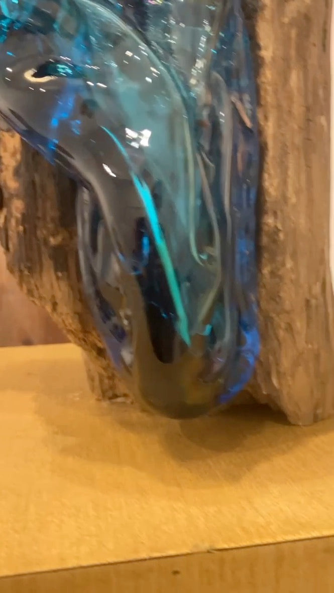 Essentia
