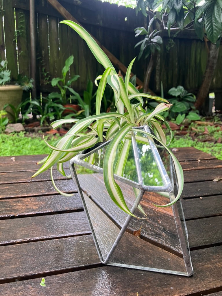 Sculptural Mirror Vase 5