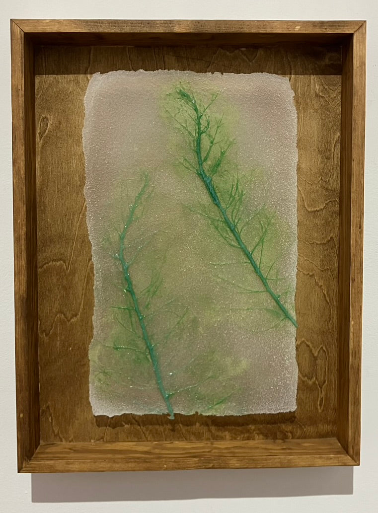 Abortifacient Glass Prints