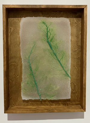 Abortifacient Glass Prints