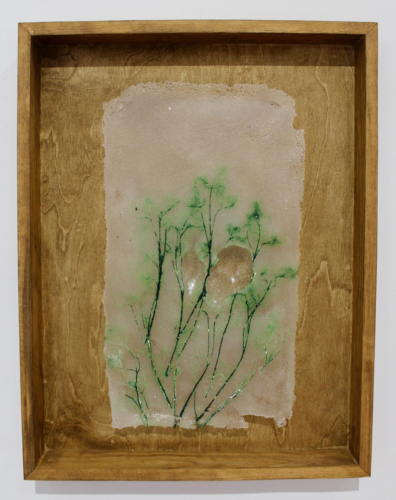 Abortifacient Glass Prints