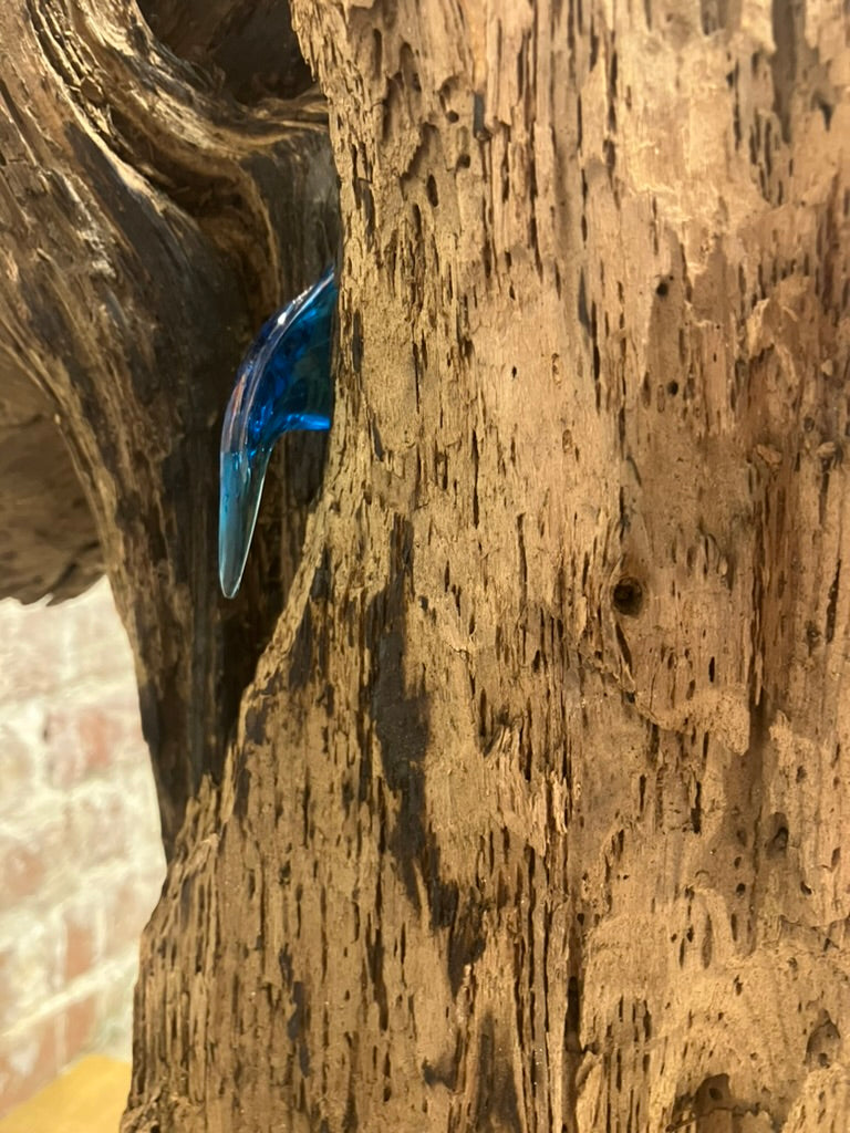 Essentia