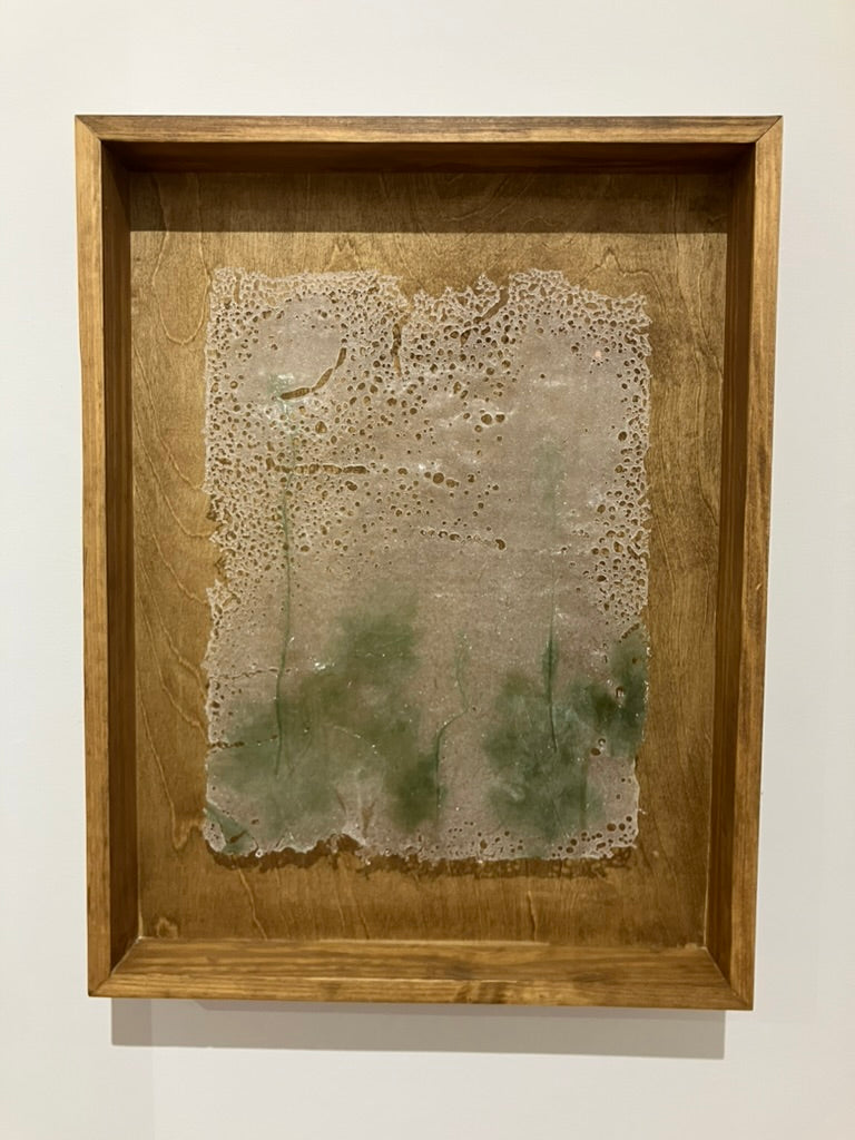 Abortifacient Glass Prints