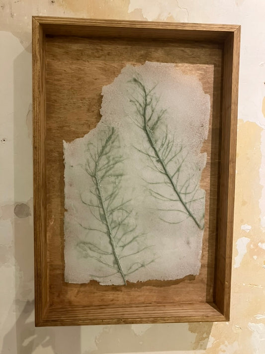 Double Mugwort Glass Print