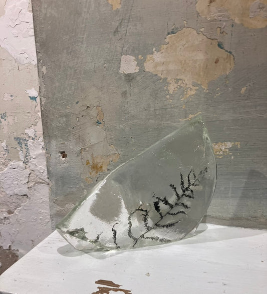 Fern Casting