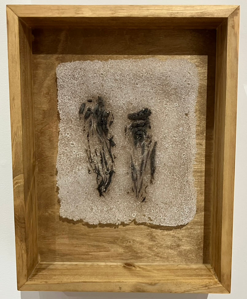 Abortifacient Glass Prints