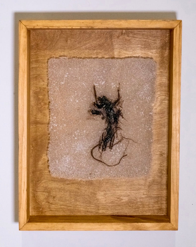 Abortifacient Glass Prints