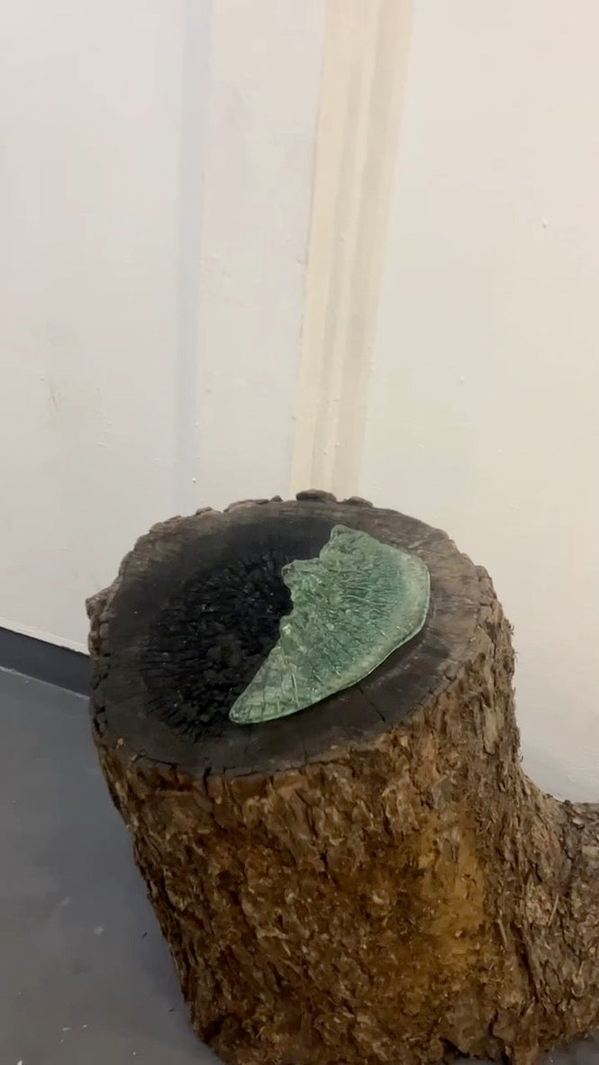 Æffect