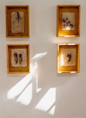 Abortifacient Glass Prints