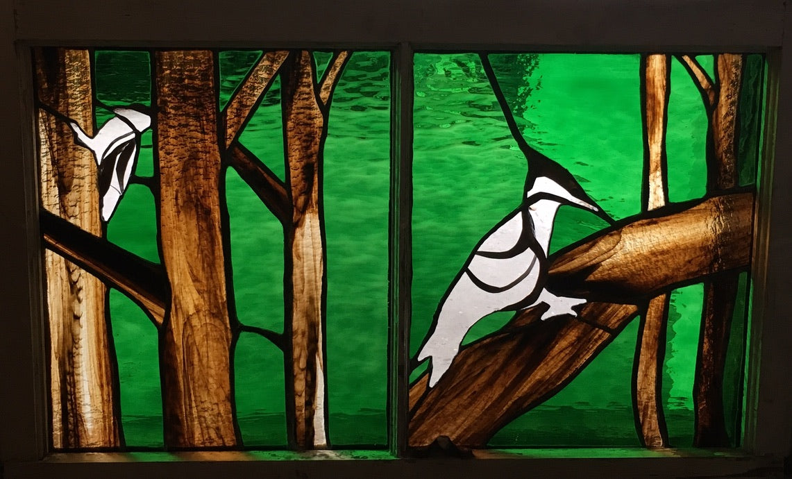 Woodpecker