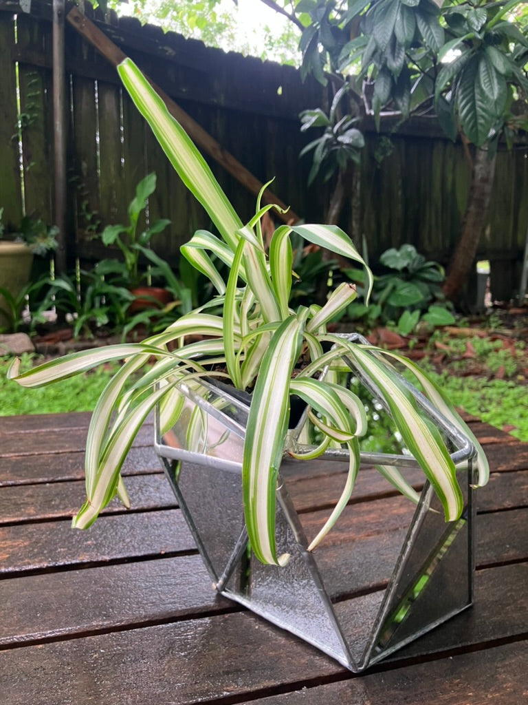 Sculptural Mirror Vase 5
