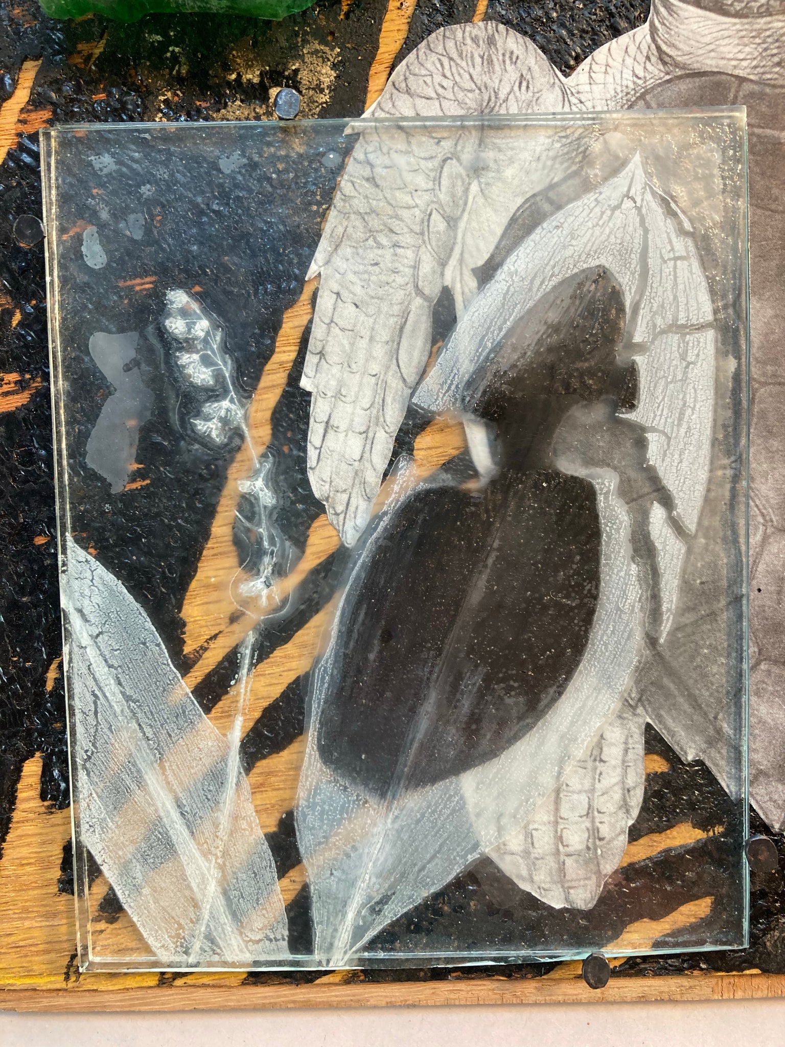 Sea Turtle & Lily of the Valley, Pandemic Collage Collection
